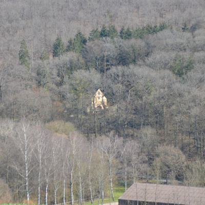 Willigis Kapelle Im Wald