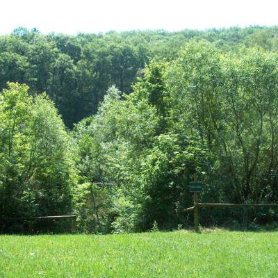 Freizeit Und Kneippanlage 07