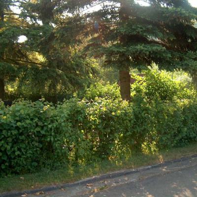 Freizeit Und Kneippanlage 09