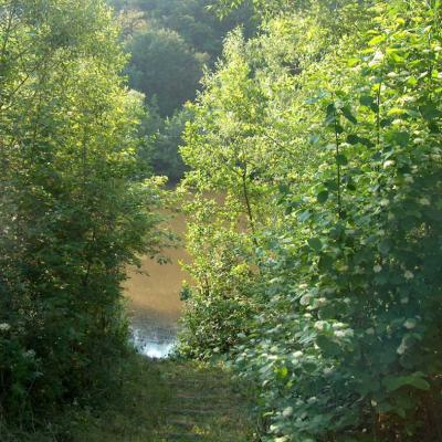 Freizeit Und Kneippanlage 11